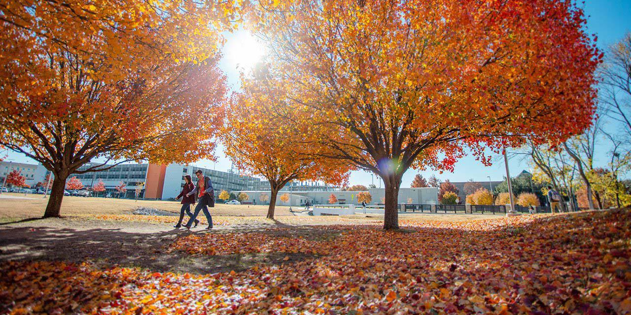 学生们走过落叶和树木 